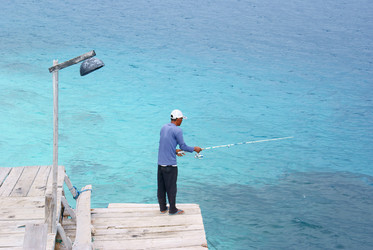 Similar image 283053