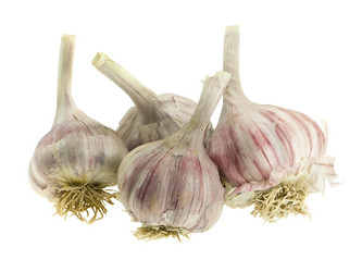 Similar image 283069