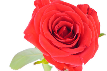 Similar image 283081