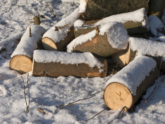 Similar image 283092