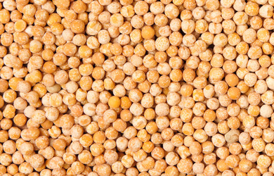 Similar image 283109