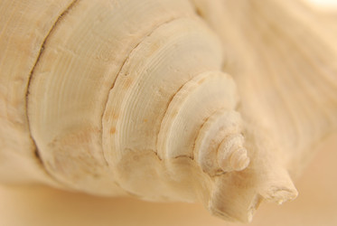 Similar image 283114