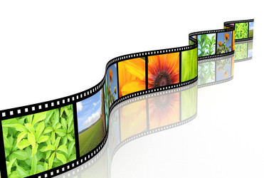 Similar image 283123