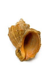 Similar image 283136