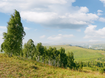 Similar image 283173