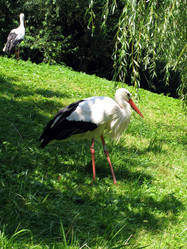 Similar image 283212