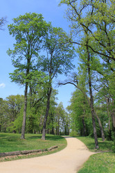 Similar image 283239