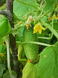 Similar image 283263