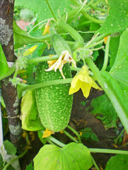 Similar image 283266