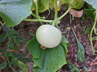 Similar image 283303