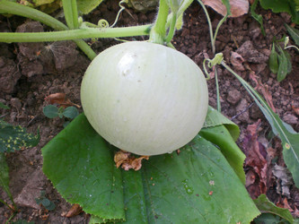 Similar image 283304