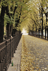 Similar image 283396