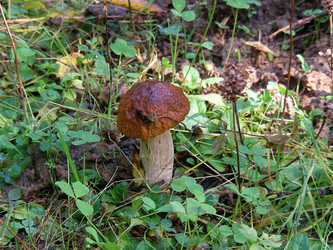 Similar image 283412