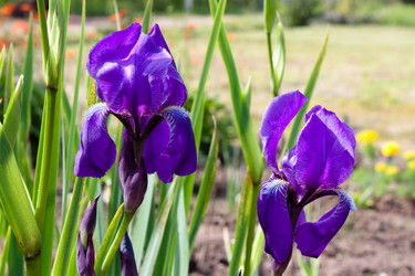 Similar image 283413