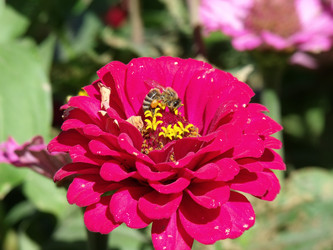 Similar image 283421