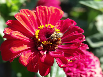 Similar image 283422