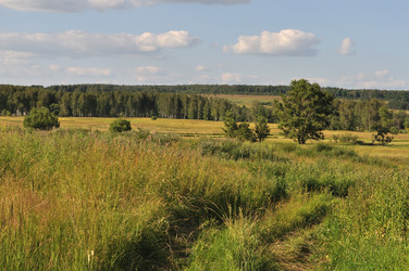 Similar image 283471