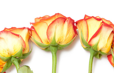 Similar image 283495