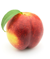 Similar image 283616