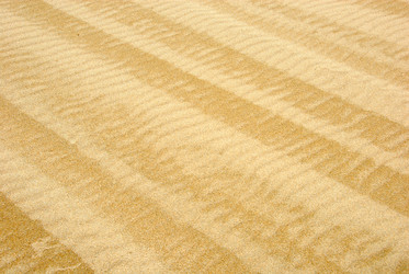 Similar image 283630