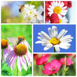 Similar image 283644