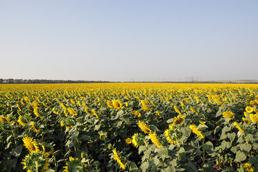 Similar image 283690