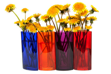 Similar image 283708