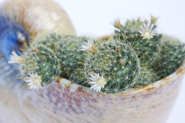 Similar image 283717