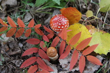 Similar image 283726