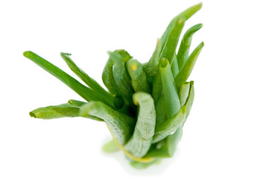 Similar image 283738