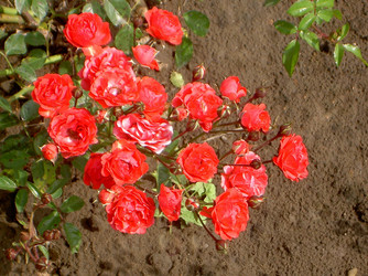 Similar image 283777