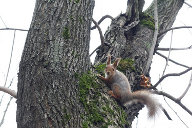 Similar image 283853