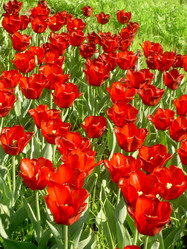 Similar image 283860