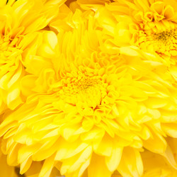 Similar image 283874