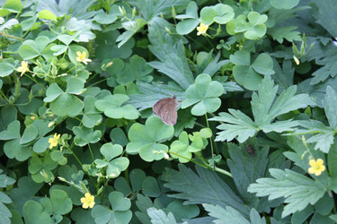 Similar image 283886