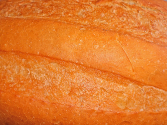 Similar image 283896