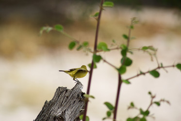 Similar image 283911