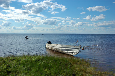 Similar image 283960