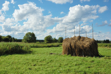 Similar image 283972