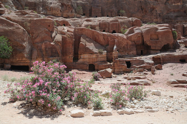 Similar image 284017