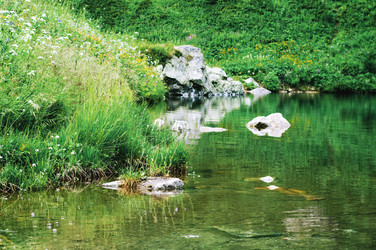 Similar image 284025