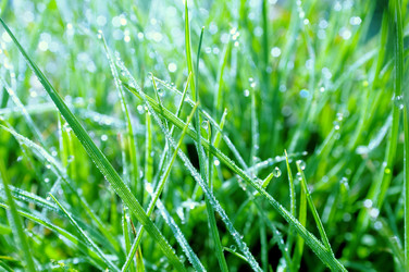 Similar image 284033