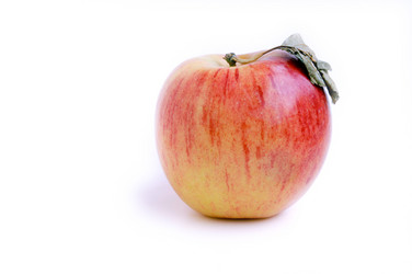 Similar image 284034