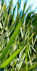 Similar image 284047