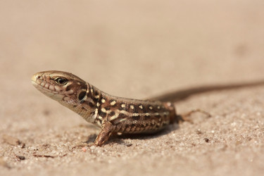 Similar image 284048