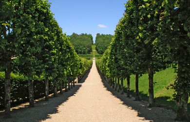 Similar image 284078