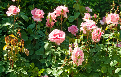 Similar image 284100