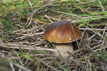 Similar image 284121