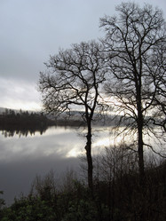 Similar image 284150