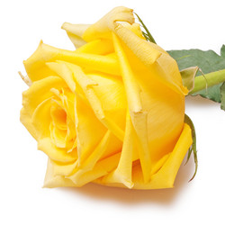 Similar image 284165